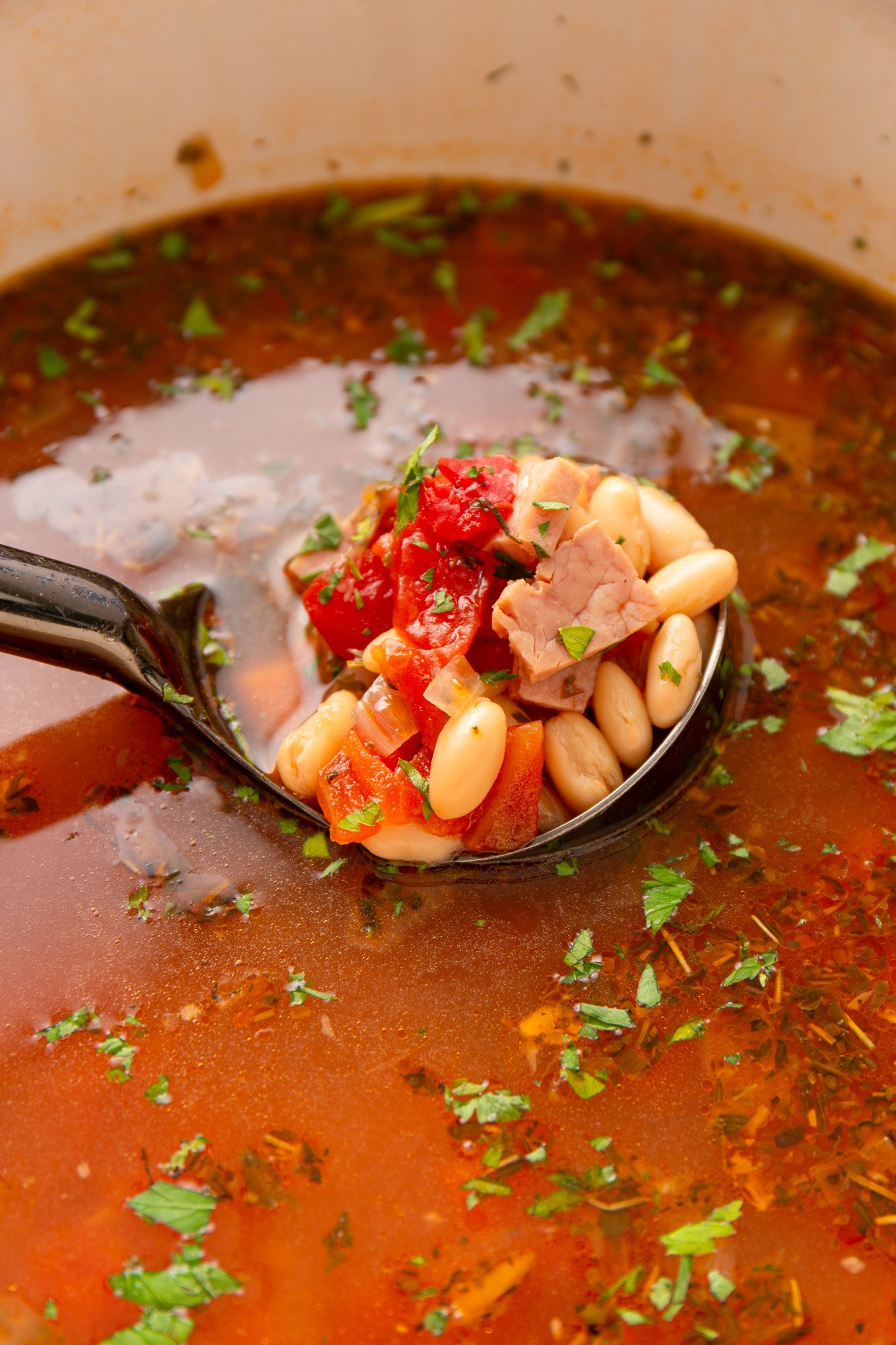 Navy Bean Soup Recipe soup in a ladle