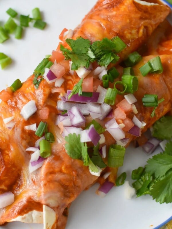 Pork Enchilada Recipe 1200 x 1200