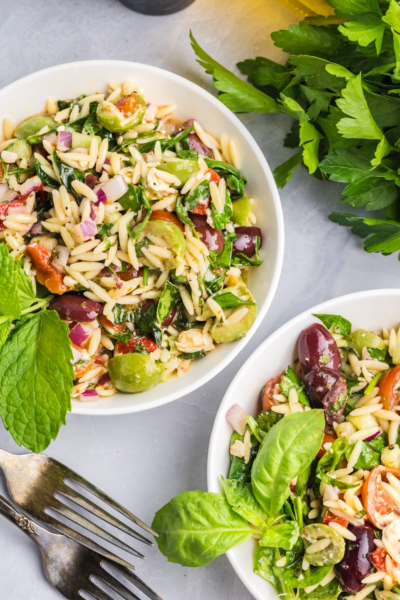Mediterranean Pasta Salad two bowls. 