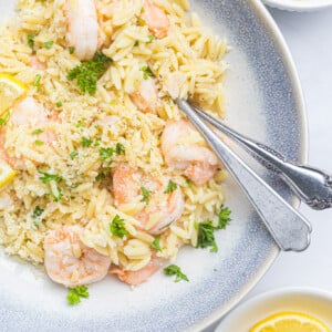 Lemon Shrimp and Orzo with forks