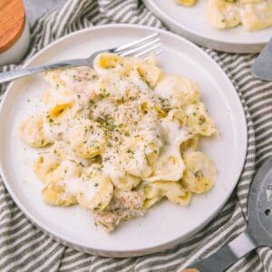 Olive Garden Chicken Tortellini Alfredo 1200 x 1200