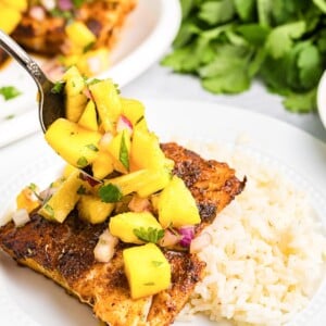Easy Blackened Cod 1200 x 1200