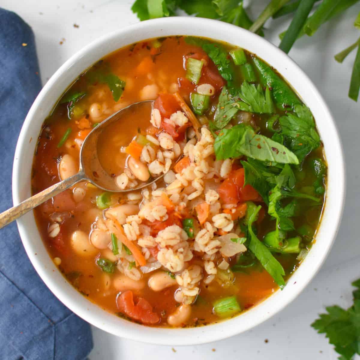 Codar Baroly Vegetable Barley Soup - A Cedar Spoon