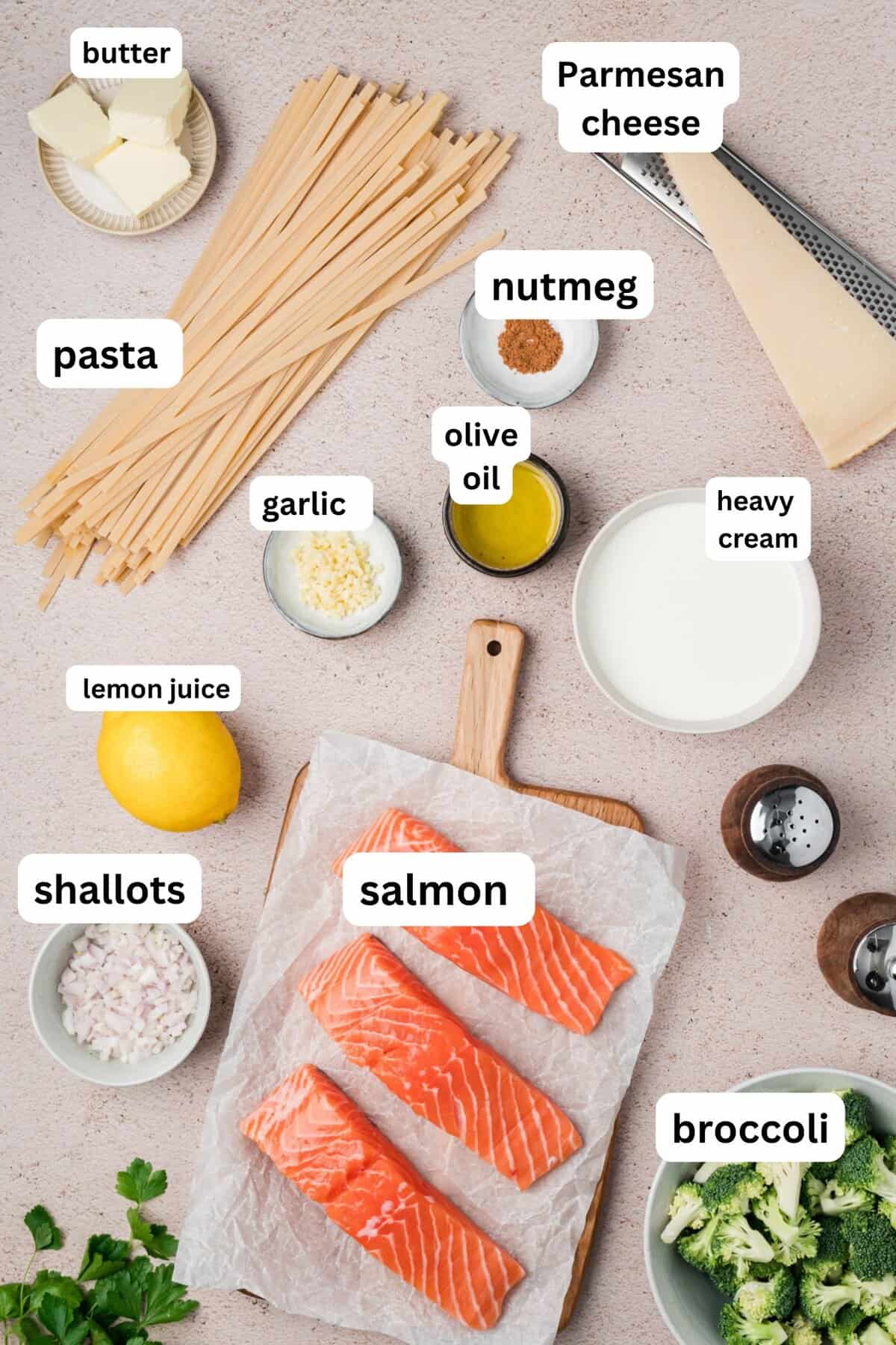 Creamy Salmon Pasta recipe ingredients