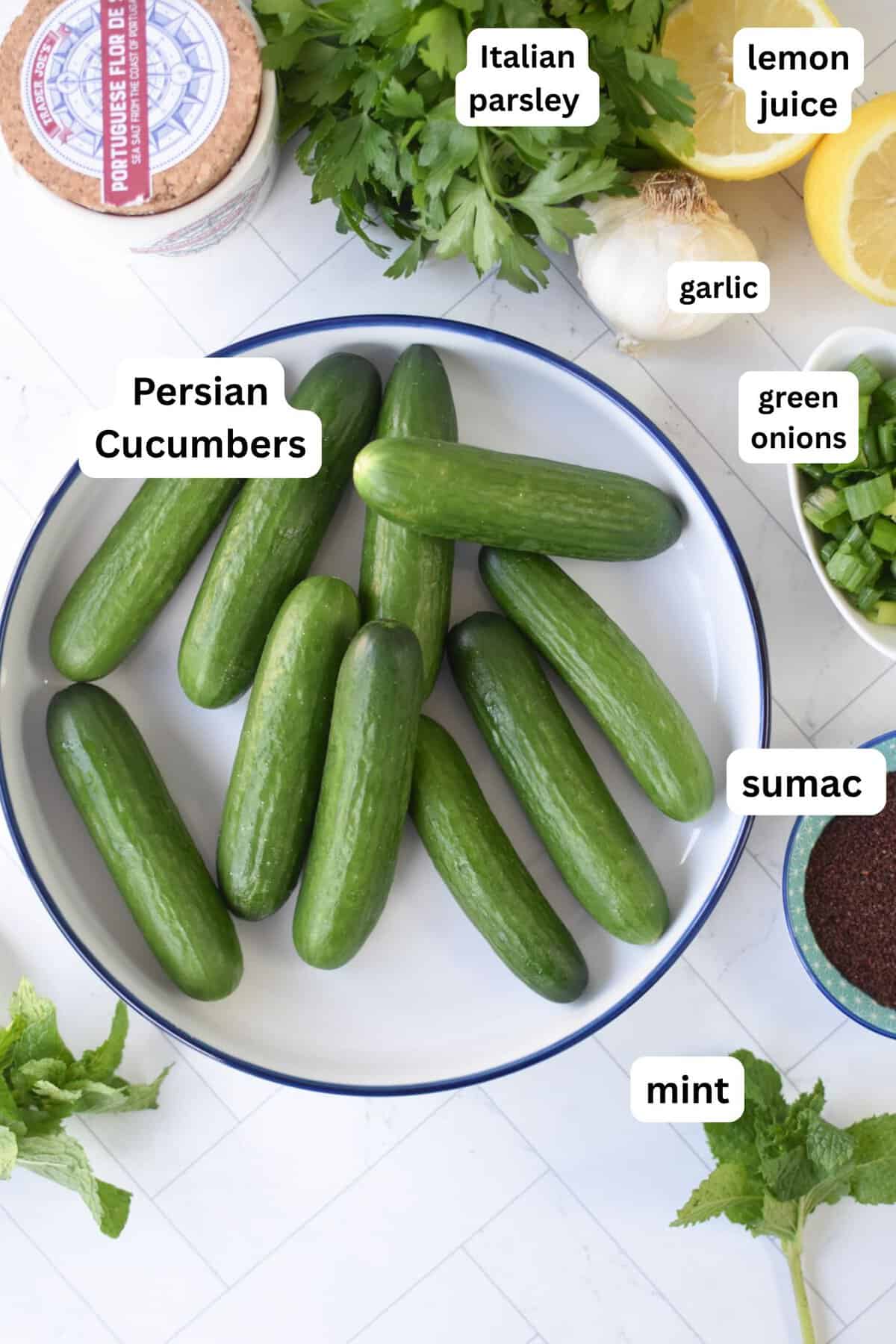 Smashed Cucumber Salad Recipe Ingredients