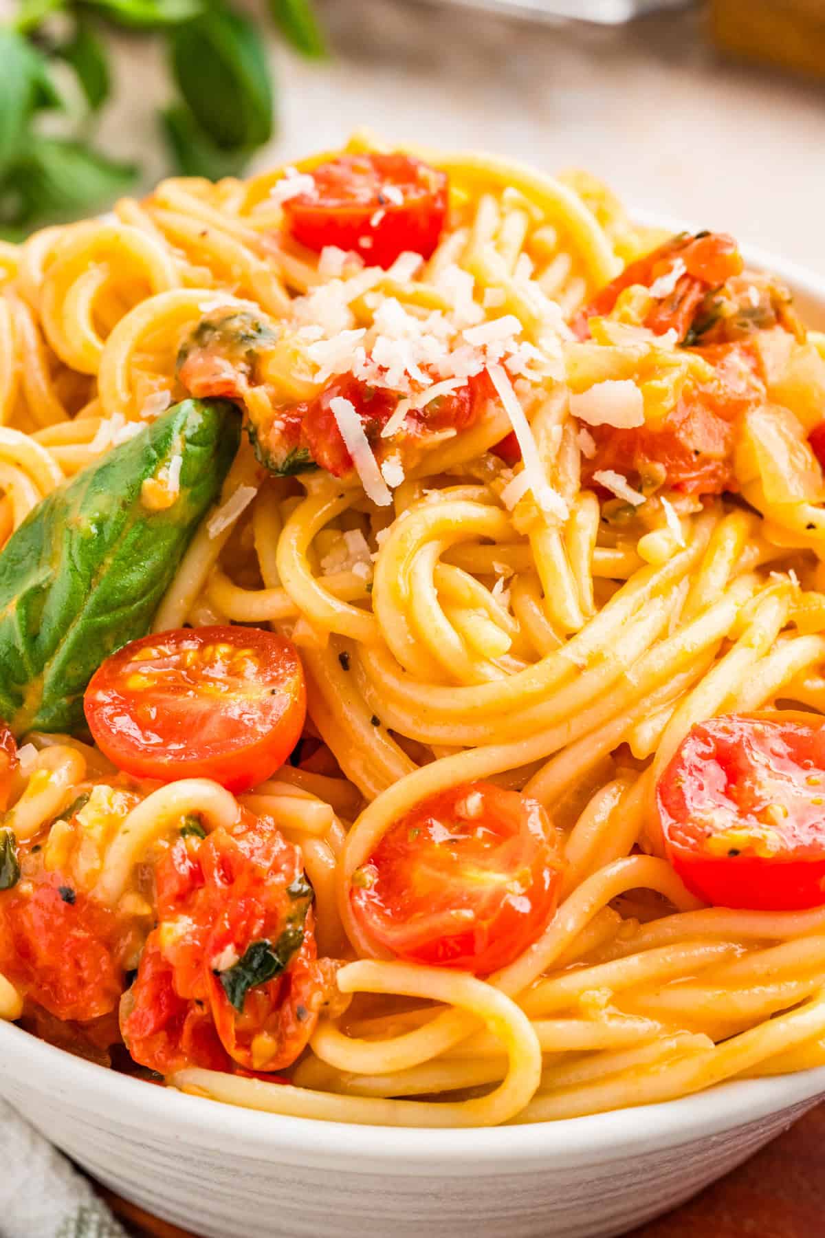 Up close Tomato and Basil Pasta